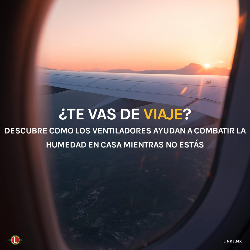 Descubre cómo los ventiladores ayudan a combatir la humedad